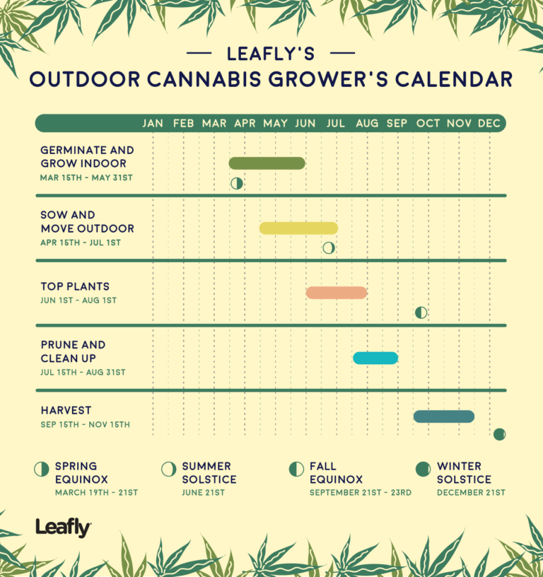 Leafly’s Outdoor Cannabis Grower’s Calendar - Pot Portal