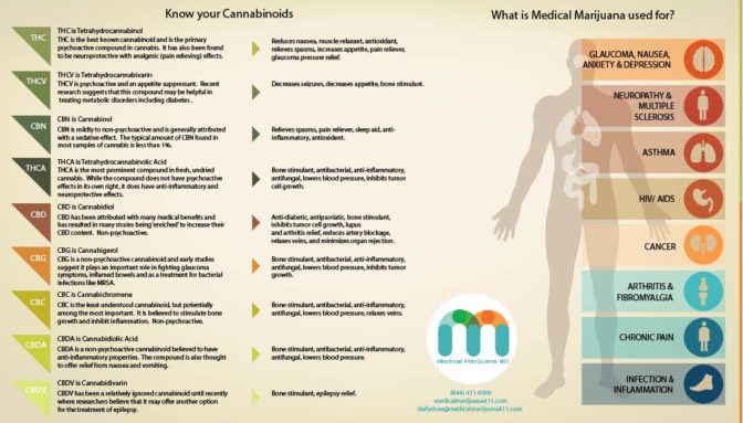 THCV: How Cannabis Can Help With Weight Loss - Pot Portal