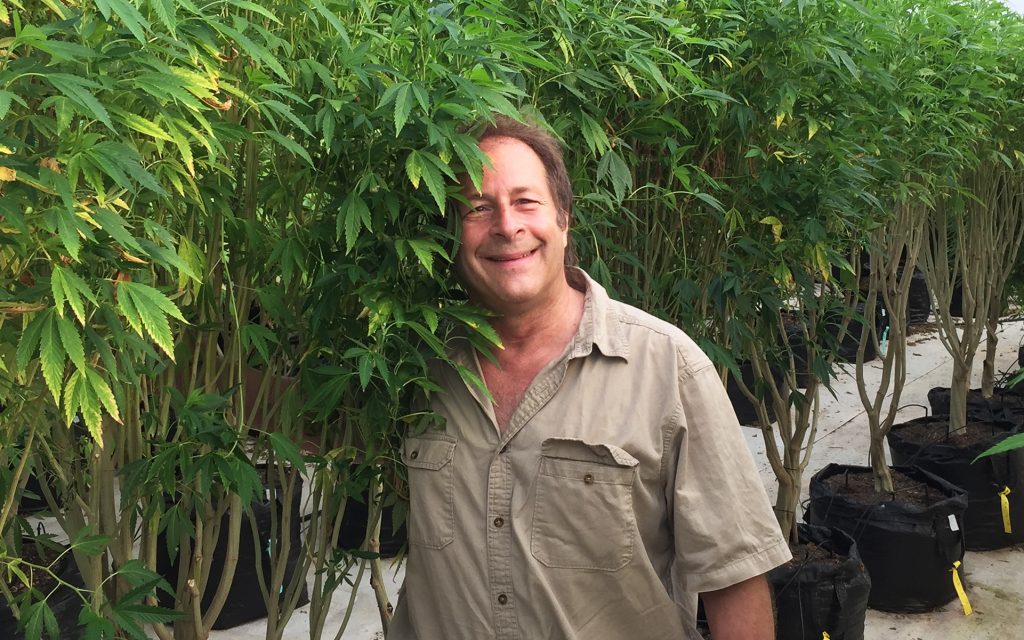 Rick Doblin of MAPS Talks Medical Cannabis Trials and a Possible Legalization Timeline