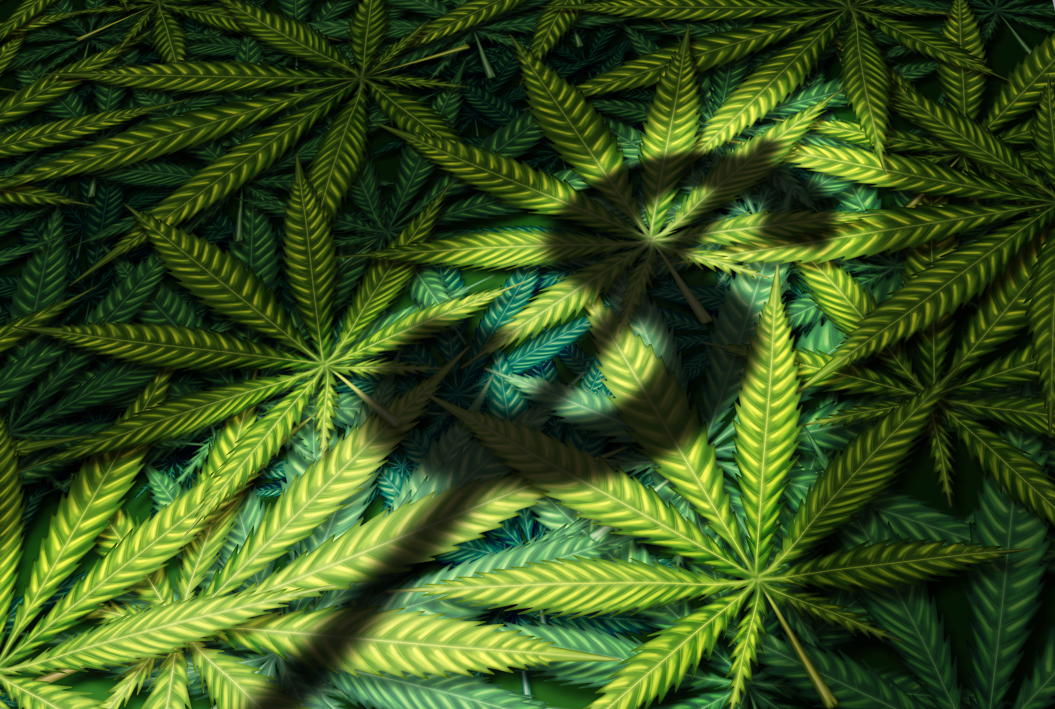 Картинки марихуана в 3d tor browser анонимайзер hydra2web