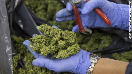133% leap in children admitted to ER for marijuana, study finds