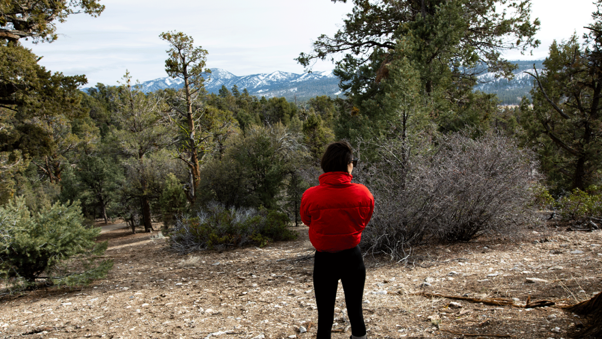 1st North Dakota Marijuana Dispensary Set to Open Feb. 28 in Fargo