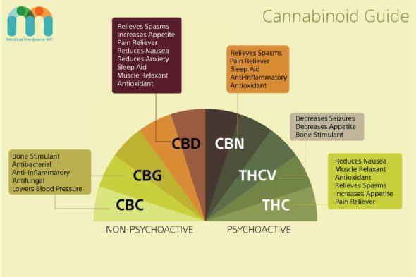 Cannabinoid Guide