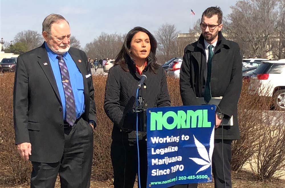 NORML Press Conference
