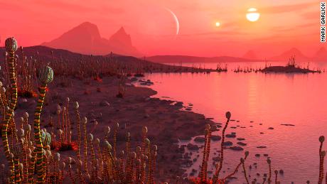 For possible life on other planets, the more suns the better