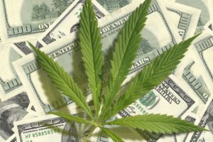 Marijuana and Money