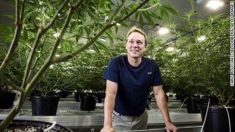 CEO&#39;s ouster at Canopy Growth highlights growing pains for cannabis industry