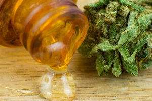 medical cannabis oil