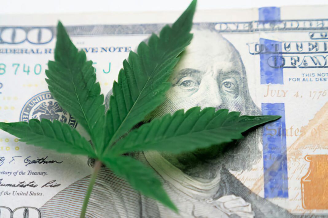 weedbank.jpg