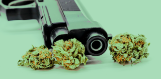 Gun Ban For Marijuana Consumers Deemed Unconstitutional, Appeals Court Dismisses Conviction