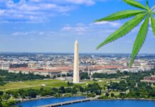 New Regulations On What Cannabis Retailers Can and Cannot Sell Coming Soon From DC