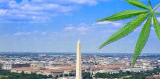 New Regulations On What Cannabis Retailers Can and Cannot Sell Coming Soon From DC