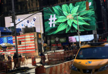 New York Cannabis Prices Plummet as Competition Rises