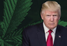 Here’s What You Need To Know About the New Hemp Ban