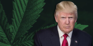 Here’s What You Need To Know About the New Hemp Ban