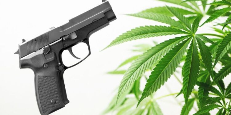 Another Ruling On Cannabis And Firearms is Headed To The Supreme Court