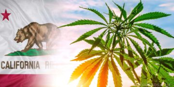 $30 Million In Cannabis Revenue To Go Towards THC Beverage Research in California