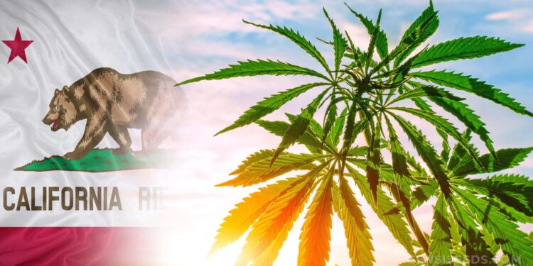 $30 Million In Cannabis Revenue To Go Towards THC Beverage Research in California