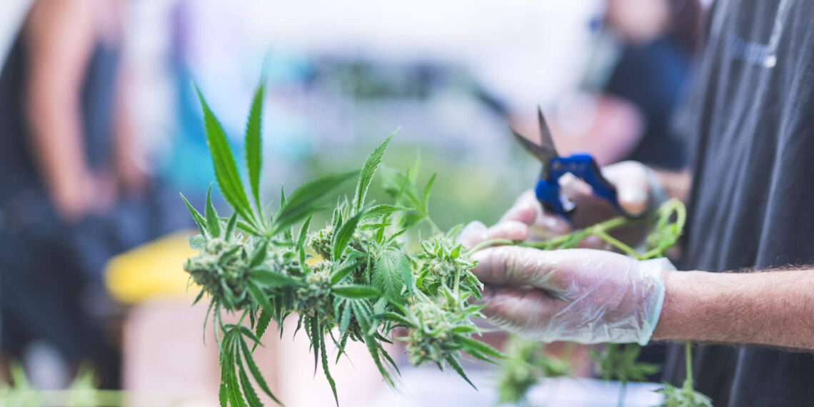 DEA States Marijuana Rescheduling Appeal Process ‘Still Pending’