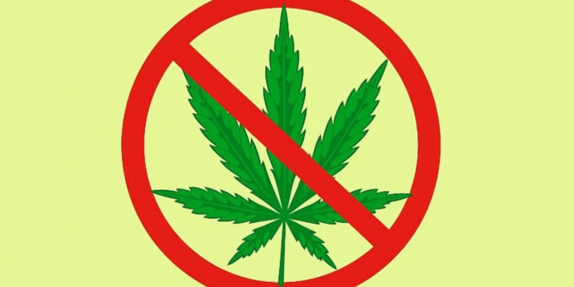 Anti-Weed Group is trying to stop marijuana legalization this fall