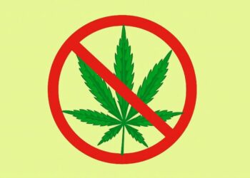 Anti-Weed Group is trying to stop marijuana legalization this fall