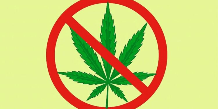 Anti-Weed Group is trying to stop marijuana legalization this fall