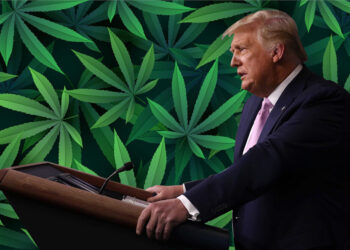 Multiple Prominent Republicans Go Against Trump In Attempt To Roll Back on Legal Cannabis