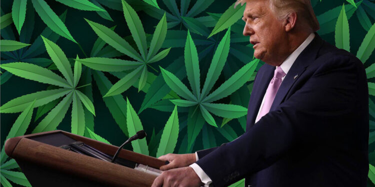 Multiple Prominent Republicans Go Against Trump In Attempt To Roll Back on Legal Cannabis