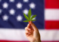 Will Any States Legalize Adult Use Cannabis In 2026?