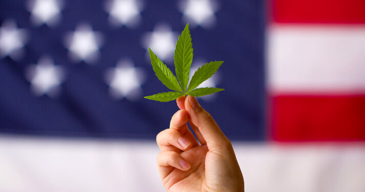 Will Any States Legalize Adult Use Cannabis In 2026?