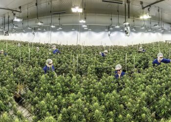 Redistricting Plan in Maryland Could Lead to Anti Marijuana Congressman Losing Seat