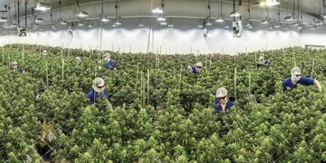 Redistricting Plan in Maryland Could Lead to Anti Marijuana Congressman Losing Seat