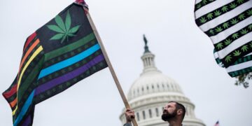 Trump blocks legal marijuana in DC