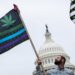 Trump blocks legal marijuana in DC