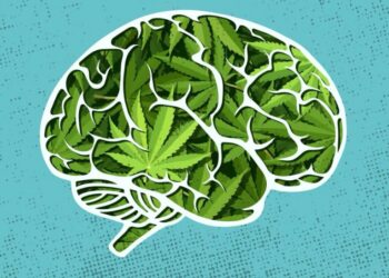 Older Adults have better cognitive function if they consume cannabis