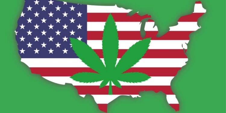 Has the US made marijuana a problem for itself?
