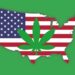 Has the US made marijuana a problem for itself?