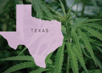 Texas Senate Approves Cannabis & Psychedelic Research