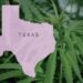 Texas Senate Approves Cannabis & Psychedelic Research