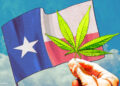 Texas Voters Voted Yes On Legalization Ballot Measure