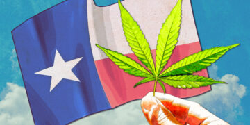 Texas Voters Voted Yes On Legalization Ballot Measure