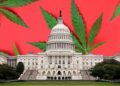 New Report Gives Update On Cannabis Rescheduling and Hemp THC Ban