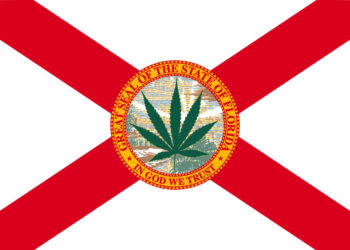 Florida Supreme Court Refuses To Intervene On Failed Legalization Initiative