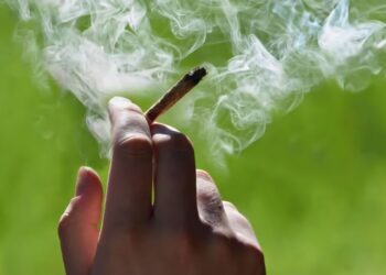 US Citizens are more okay with cannabis than homosexuality