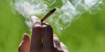 US Citizens are more okay with cannabis than homosexuality