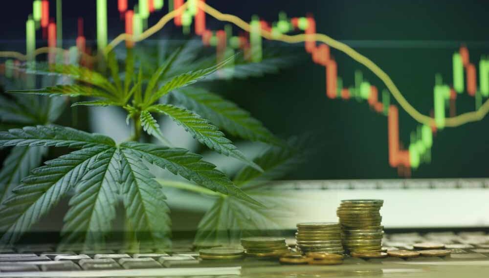 Here’s an Updated Cannabis Market Forecast Now Through 2034