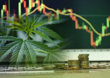 Here’s an Updated Cannabis Market Forecast Now Through 2034