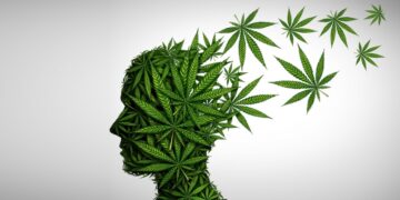 Not much evidence supporting marijuana’s benefits for mental health