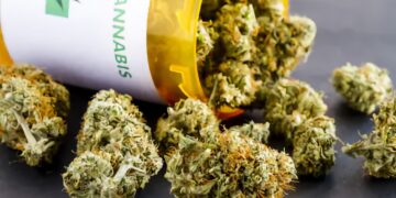 Terminally Ill People get Legal Marijuana in Washington