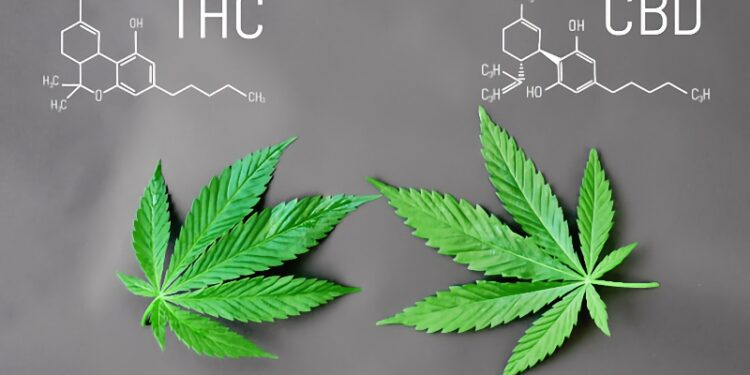 Turns out a lot of our marijuana is actually hemp